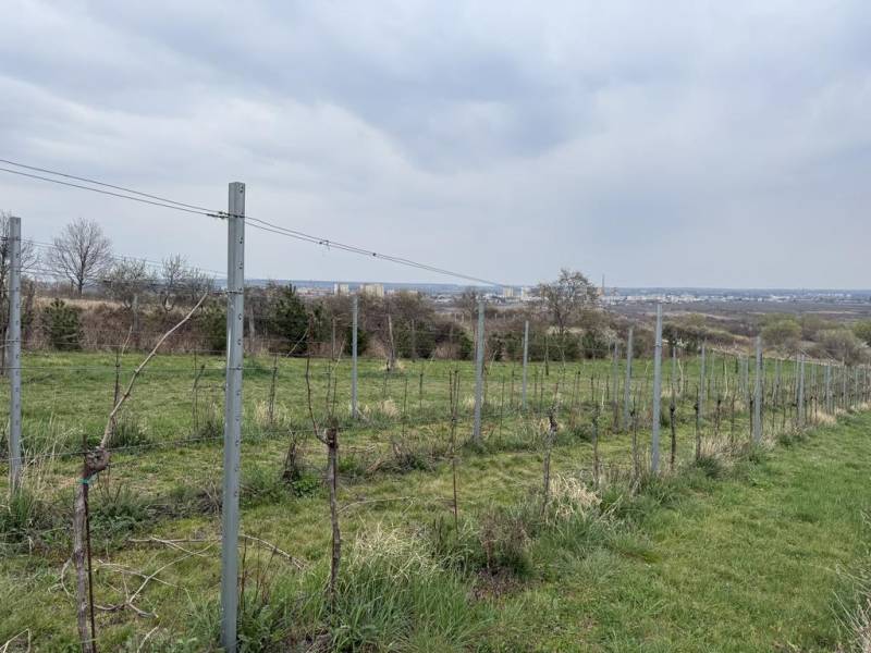 Sale Recreational land, Recreational land, Fajgalská cesta, Pezinok, S