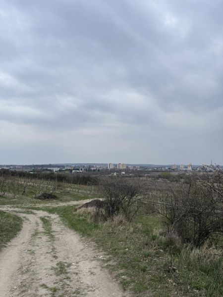 Sale Recreational land, Recreational land, Fajgalská cesta, Pezinok, S