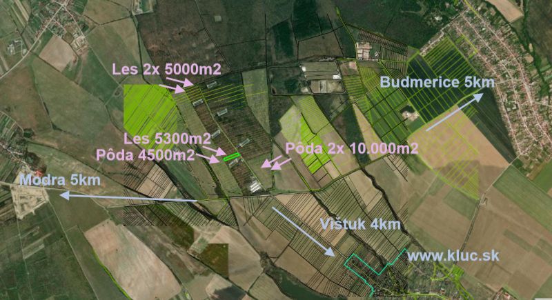 Sale Agrarian and forest land, Agrarian and forest land, Pezinok, Slov