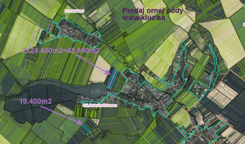 Sale Agrarian and forest land, Agrarian and forest land, Trnava, Slova