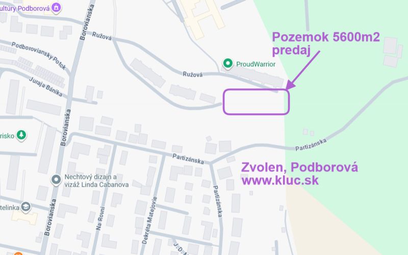 Sale Land – for living, Land – for living, Ružová, Zvolen, Slovakia