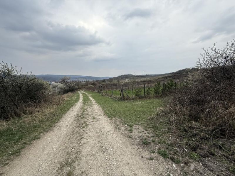 Sale Recreational land, Recreational land, Fajgalská cesta, Pezinok, S
