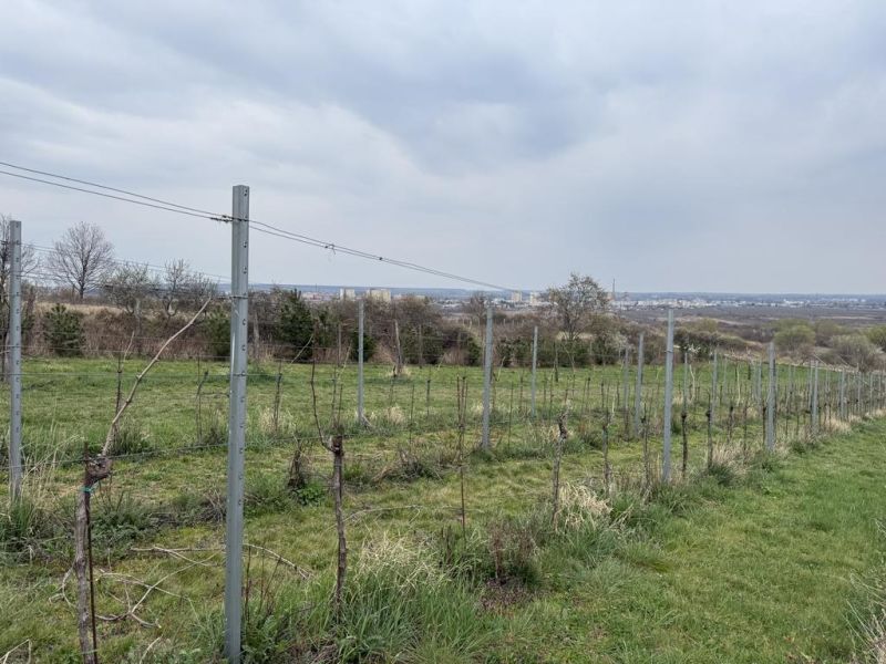 Sale Recreational land, Recreational land, Fajgalská cesta, Pezinok, S